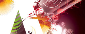 webdesign_vian_300x120
